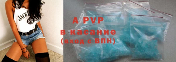 прущие крисы Белокуриха