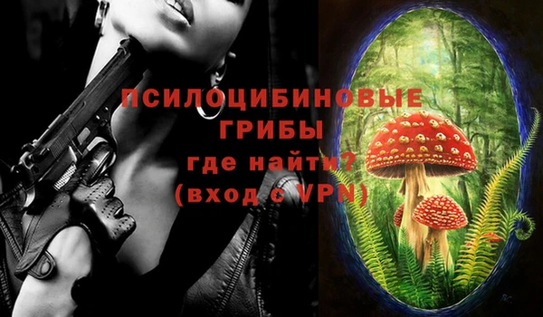 прущие крисы Белокуриха