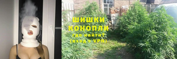 прущие крисы Белокуриха